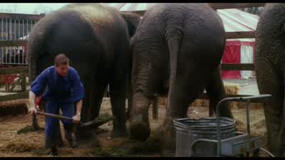 OLD EDWARD: True to his word, every month Amos would tell me something new about the woman of my dreams. - Big Fish