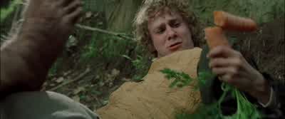 Trust a Brandybuck and a TookWhat That was just a detour A shortcutShortcut to what Mushrooms - The Lord of the Rings: The Fellowship of the Ring