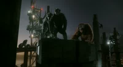 Trusted Koba like brother. - Dawn of the Planet of the Apes