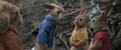 Truth is, - Peter Rabbit