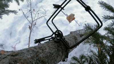 Try to cover it back I can, - Life Below Zero: First Alaskans
