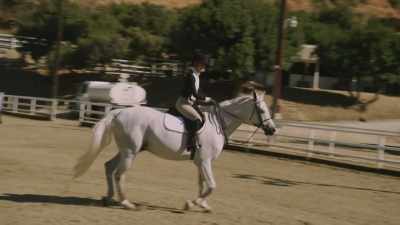 Try and hold with the calf, - Introducing, Selma Blair