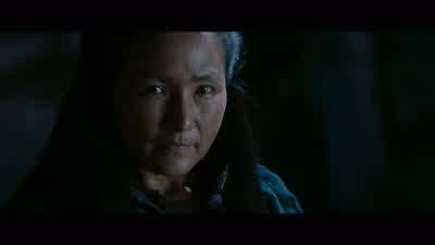 Tsai, you dog! - Crouching Tiger, Hidden Dragon