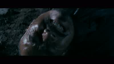 Tsai, you filthy mongrel! - Crouching Tiger, Hidden Dragon