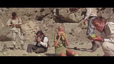 Tsamma melons. - Sands of the Kalahari