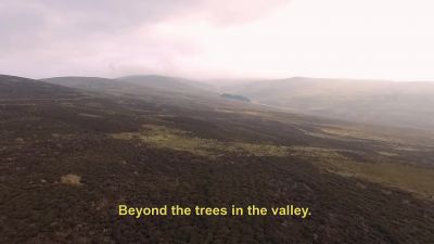 TSOUKALOS:
So not in the trees, - Ancient Aliens