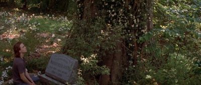 Tuck said it to Winnie the summer she turned 15 - Tuck Everlasting