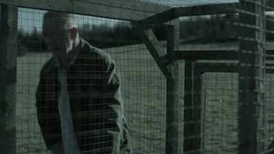 [turkeys gobbling] - Eyewitness