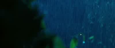 - Turn around. - Rambo