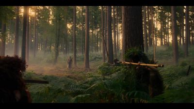 Turn back now, - The Witcher