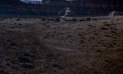 Turn back to the canyon.
We've got to get there by dawn. - Duel at Diablo