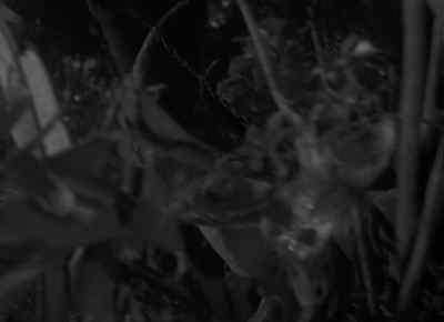 Turn off your motor. - The Devil Doll