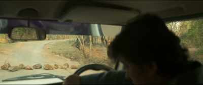Turn the car around! - Newton