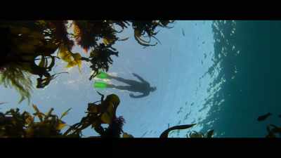 ? Turn water to wind as you
swing through the sea ? - Billy & Molly: An Otter Love Story