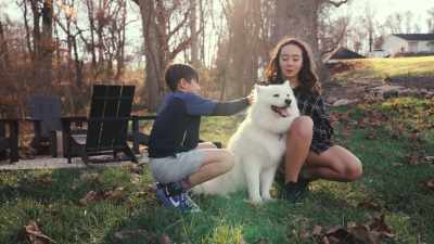 Turns out our bond
is more than just skin deep. - Inside the Mind of a Dog