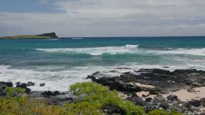 - Turtle Cove.
- At least that's what we call it. - Aloha Heart