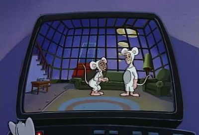 TV HEY CORTEX WHAT DO YOU WANT TO DO TONIGHT - Pinky and the Brain