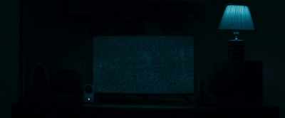 [TV static buzzing] - Dear David