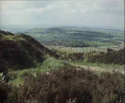 TWANG OF COILED SPRING - Last of the Summer Wine