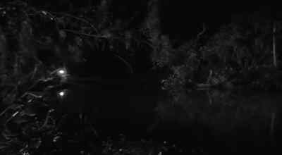 Twenty feet ahead.
He's coming at us! - The Creature Walks Among Us