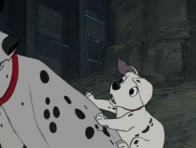 Everybody here All 15Twice that many Dad Now there's 99 of us - One Hundred and One Dalmatians
