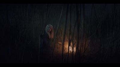 [twig snaps] - The Witcher