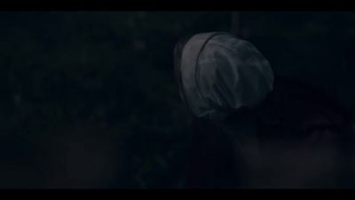 [twig snaps] - The Handmaid's Tale