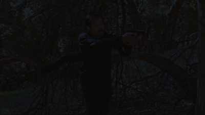 (twigs breaking) - Wolf Mountain