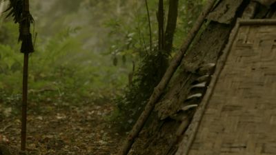 [twigs breaking] - Vikings