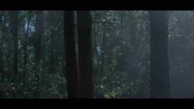 [twigs crackling] - Swamp Thing