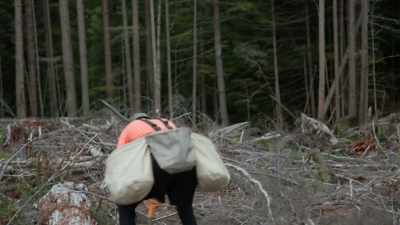 (twigs crunching) - Trees and Other Entanglements
