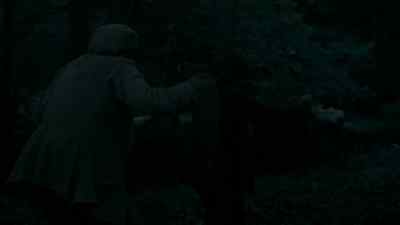 TWIGS SNAP - Poldark