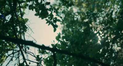 [twigs snapping] - Stronghold