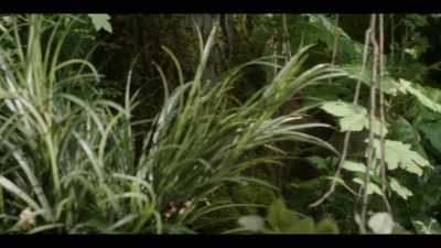 [twigs snapping] - Earth Abides
