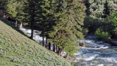 [twittering] - Epic Yellowstone