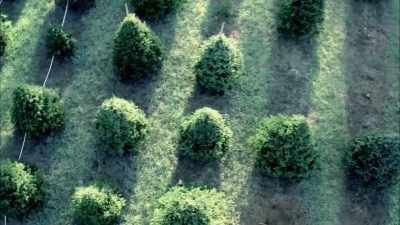 Two batteries with a note that said - The Spruces and the Pines