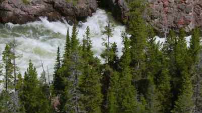 Two days later they
reached the Upper Falls - Yellowstone: One-Fifty