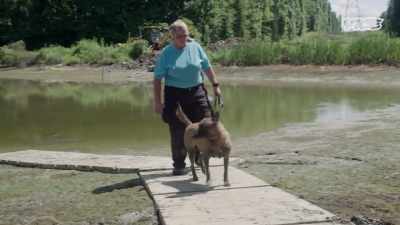Two dogs independently indicated - Small Town Secrets