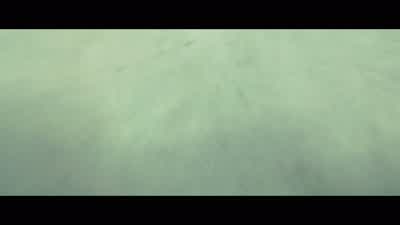 Two hundred feet to the east. - Blade Runner 2049