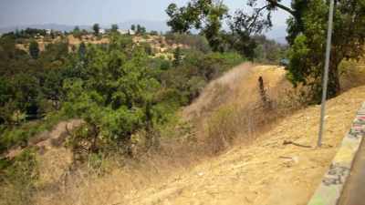 Two little boys riding their bikes
started looking down the hillside, - The Hillside Strangler