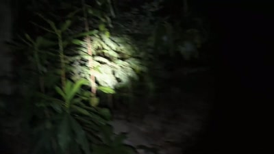 Two men come and stand over him
with bricks broken in half. - Killers: Caught on Camera