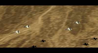 Two pairs of f-18s will fly - Top Gun: Maverick