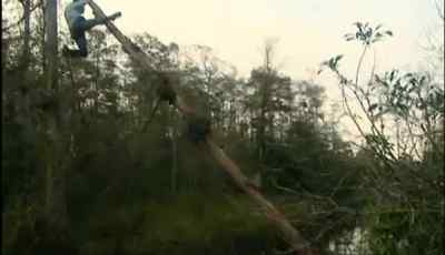 TWO REASONS WHY I DON'T WANT
TO FALL OFF THIS -- - Man vs. Wild