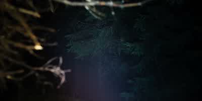 Two... Three. Come on. - The Ritual