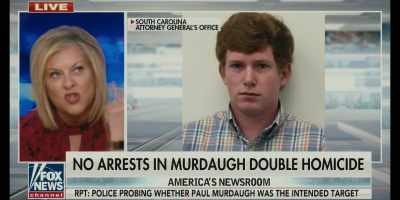 Two weapons were used, - Low Country: The Murdaugh Dynasty