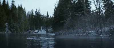 Two weeks after he got here, - The Hummingbird Project