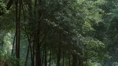 Ty reese. - The Walking Dead