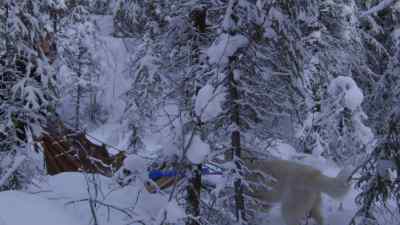 Tyler: GO AHEAD. - The Last Alaskans
