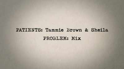 [typewriter clicks] - Dr. Jackie