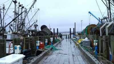 - Typical New England coastal town - Sharkula